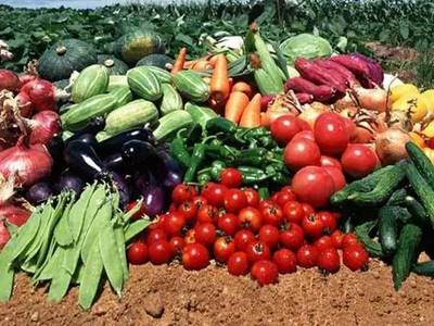 6月起廣州新政重磅來襲 房市調控與農產品安全雙管齊下，與你息息相關！